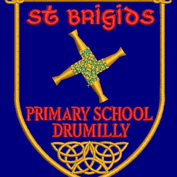 St. Brigid's Primary School, Drumilly