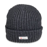 Men's Chunky Thinsulate Ski Hat