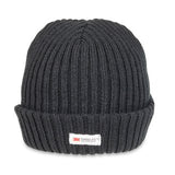 Men's Chunky Thinsulate Ski Hat