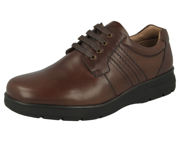 DB Shoes Chatham brown smooth leather