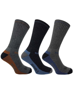 BRAMBLE Lightweight Hiker Sock - 3 Pair Pack